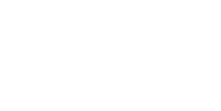 Altion Iron Forte Sticks